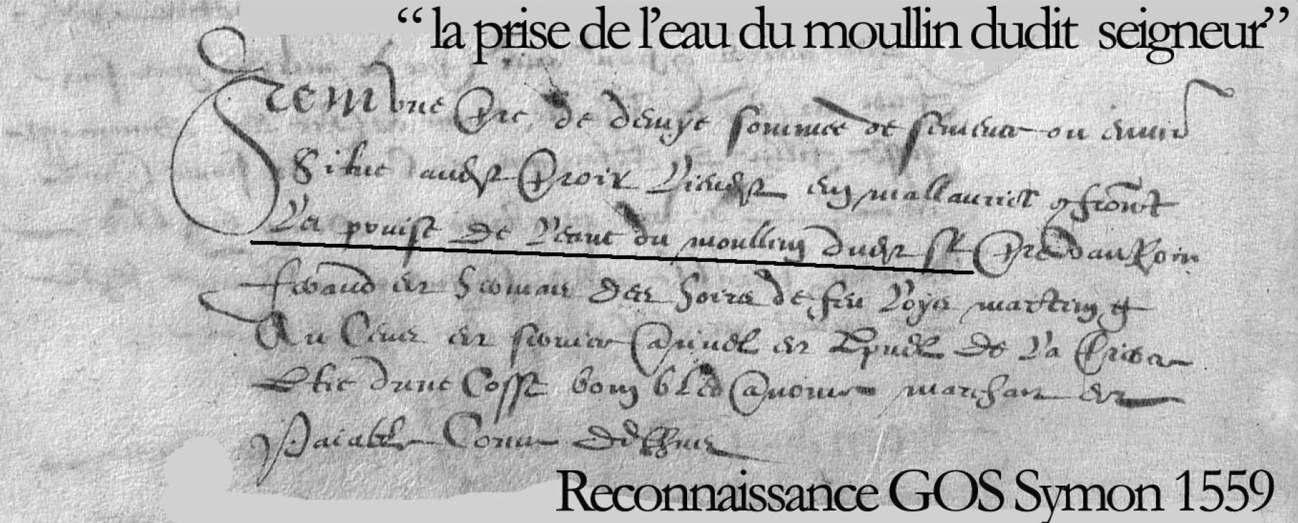 Extrait archive la prise de l'eau du moullin dudit seigneur, reconnaissance Gos Symon en 1559 - Anne-Marie et Michel Courchet - Saint-Julien-le-Montagnier