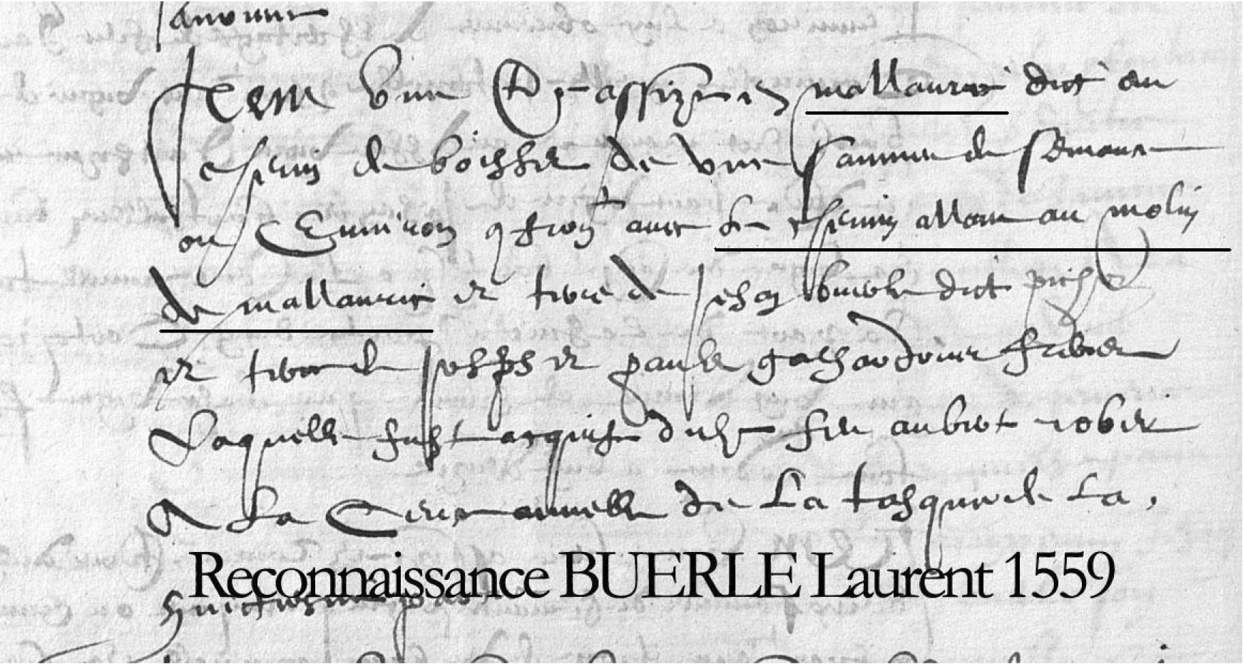 Extrait archive la prise de l'eau du moullin dudit seigneur, reconnaissance Buerle Laurent en 1559 - Anne-Marie et Michel Courchet - Saint-Julien-le-Montagnier