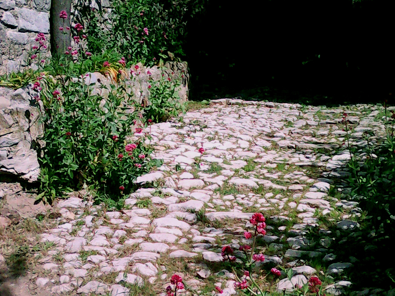 Calade - une chaussée pavée de galets - Vieux-Village - Saint-Julien-le-Montagnier